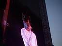 38_bjork06.jpg